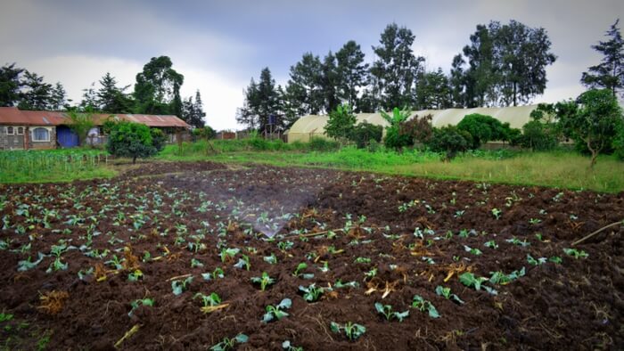 Delivering More for Kenyan Farmers Giving Compass