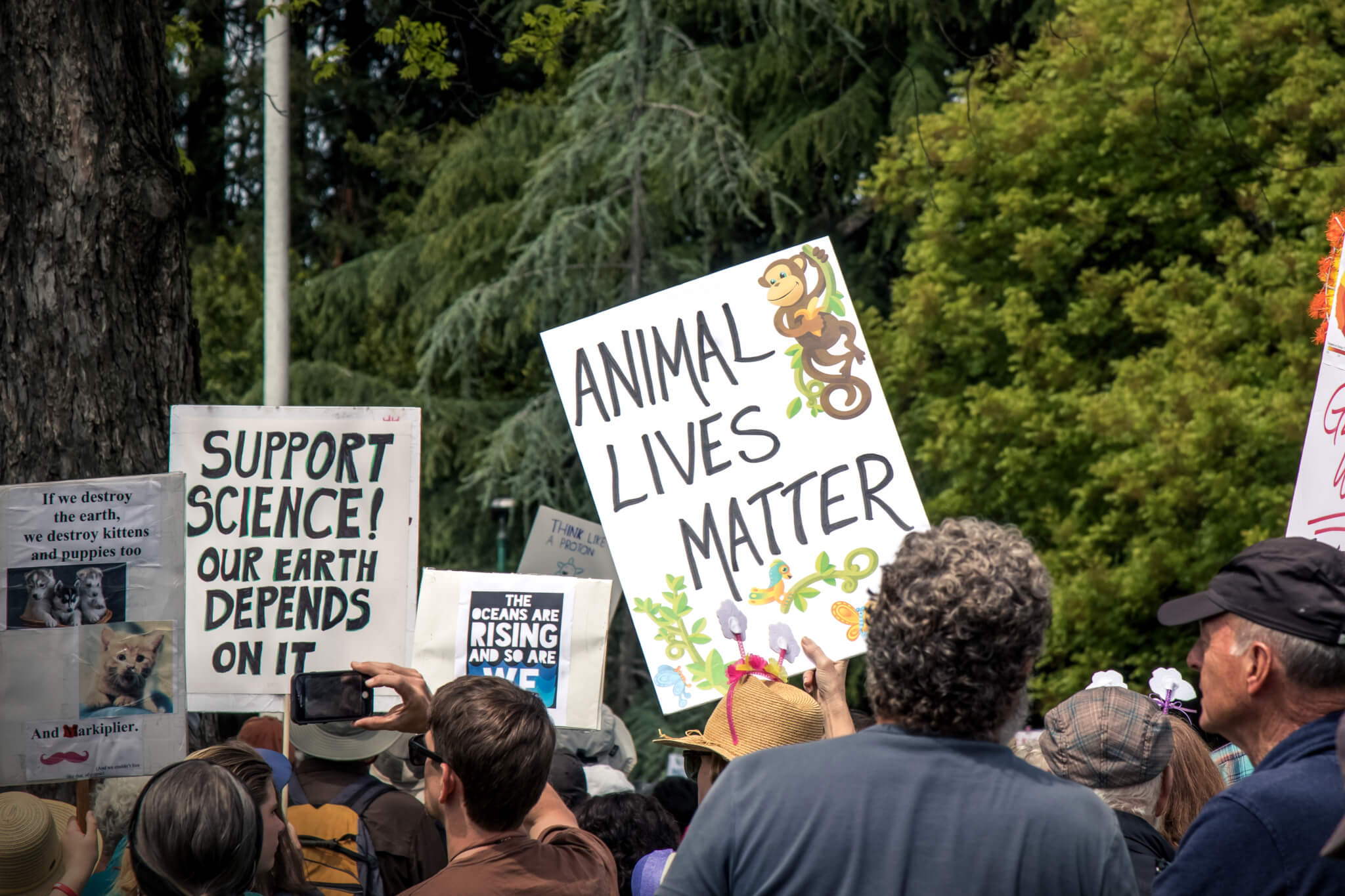 Alex Hershaft: Holocaust Survivor and Animal Advocate · Giving Compass Alex Hershaft: Holocaust Survivor and Animal Advocate · Giving Compass