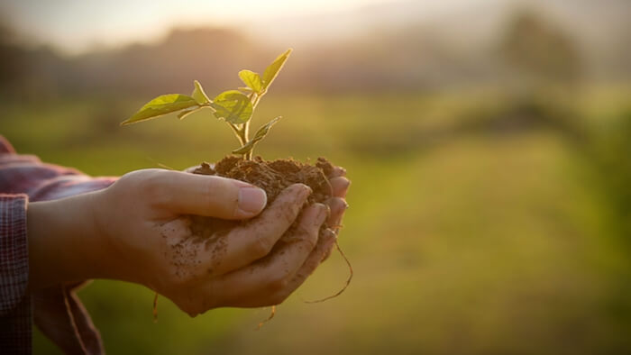 Key Takeaways From the Global Landscapes Forum
