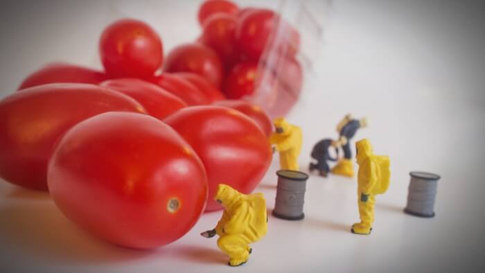 Gmos The Human Geography Of A Global Food Fight - nsqynbc