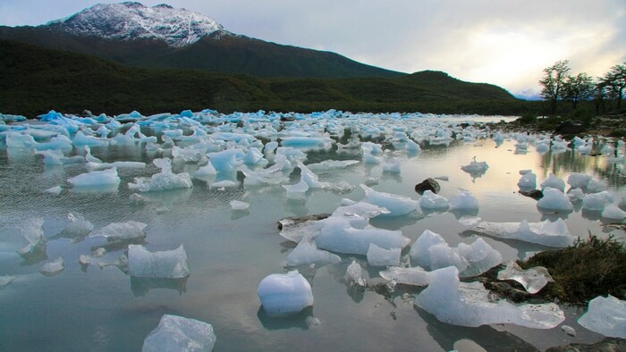 Reasons Why Climate Philanthropy is Failing