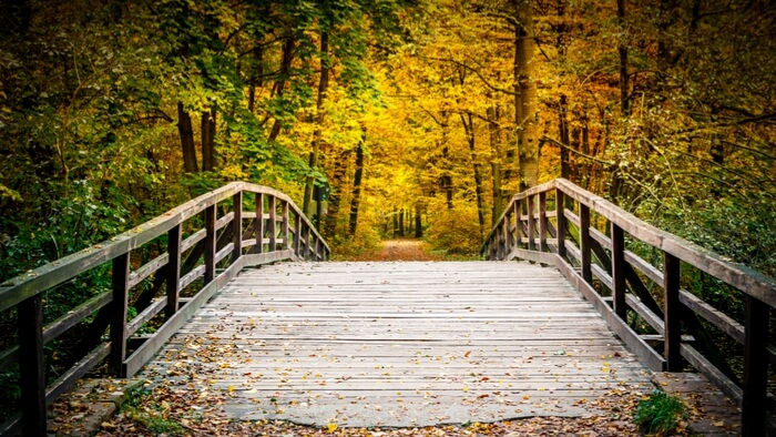 Roadmap for the Future of Impact Investing: Reshaping Financial Markets ...