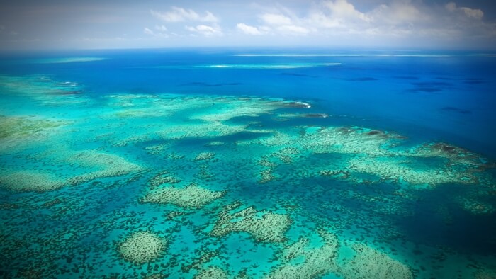 Great-Barrier-Reef destruction