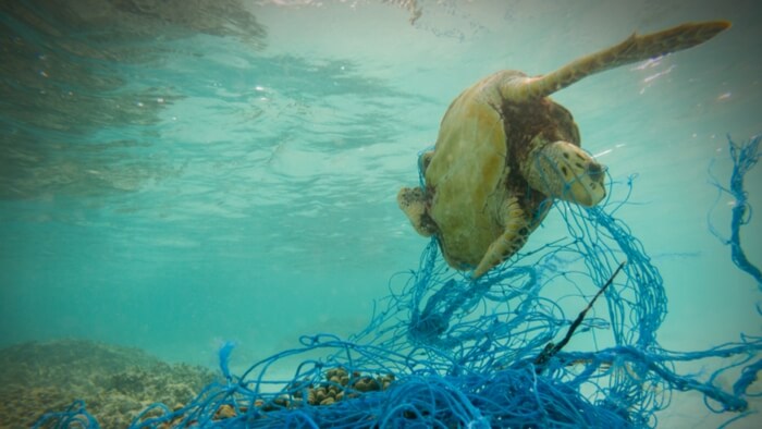 What Can Donors Do About Ocean Plastic? Giving Compass
