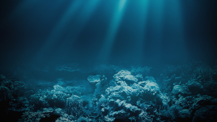 Charity Navigator's Top 10 Tuesday: Protecting & Defending Our Oceans Giving Compass