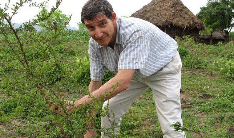 Restoring 240 Million Trees in West Africa Can Help Fight Hunger ...