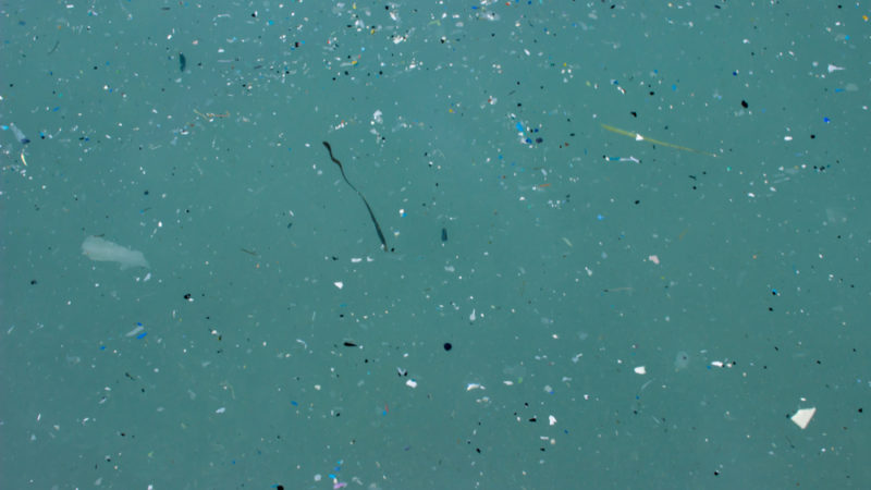 This New Law Would Ban 90% of Microplastics Across Europe Giving Compass