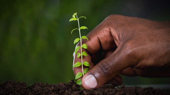 Building an Inclusive Economy by Investing in Entrepreneurs of Color Giving Compass