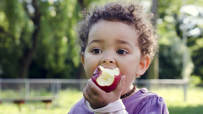 Helping Low-Income Women Afford Healthier Food May Have Reversed a Rise in Childhood Obesity