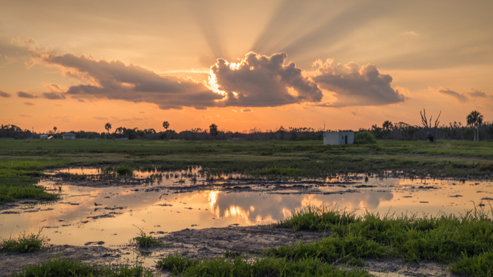 Climate Change Alters What's Possible in Restoring Florida's Everglades