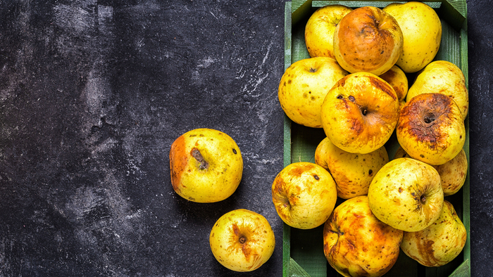 Preventing Food Loss with Packaging