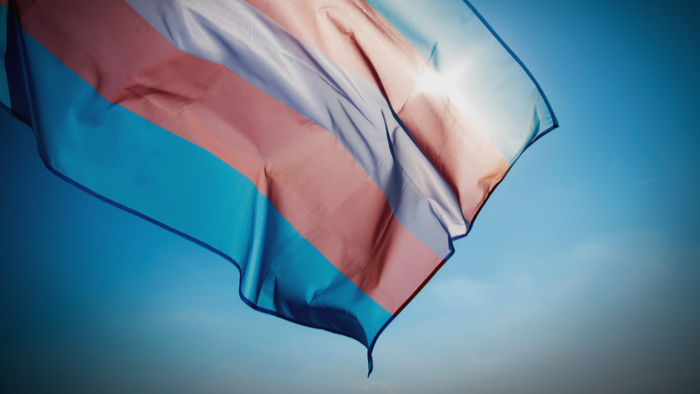 How Financial Support Can Potentially Help Black Trans Women Giving Compass