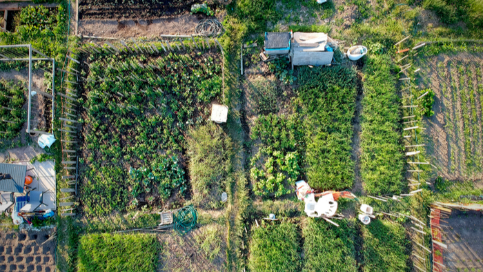 Food System Investment Opportunities