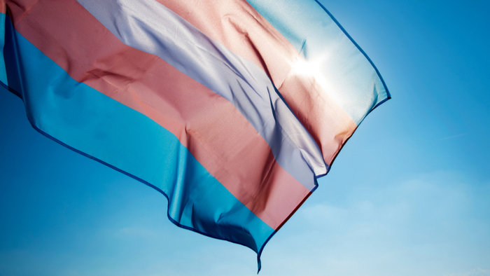 Trans Rights Circle Fighting for Transgender Rights: Circle for Justice Innovations ...