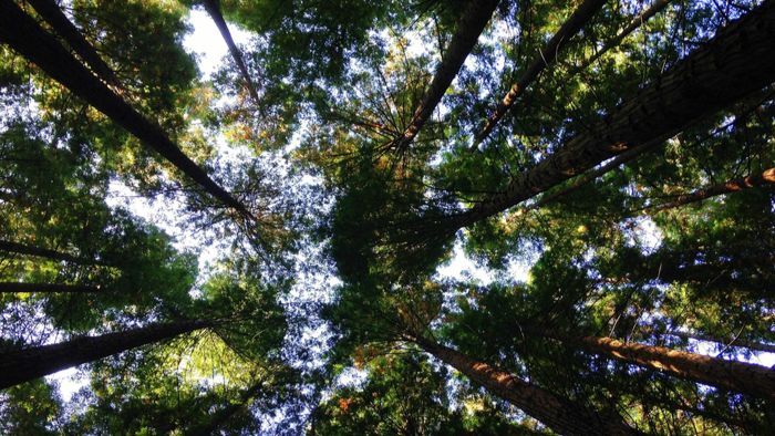 Why We Support Women Environmental Leaders of Color