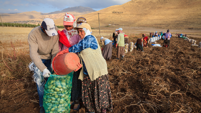 Addressing Safe Labor Migration In Climate Conversations Giving Compass