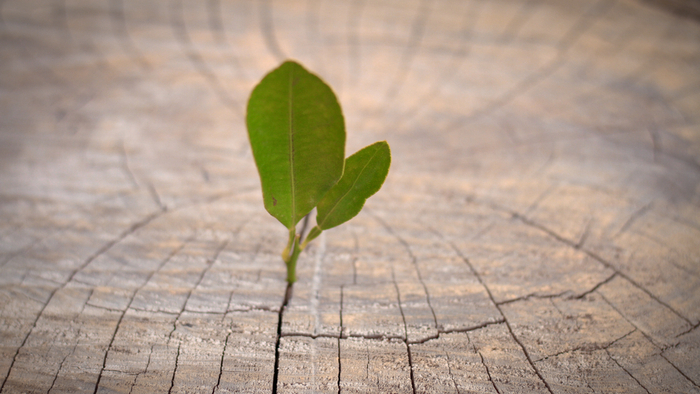 COVID-19 Creates a Chance to Overhaul the System for Funding Nonprofits Giving Compass