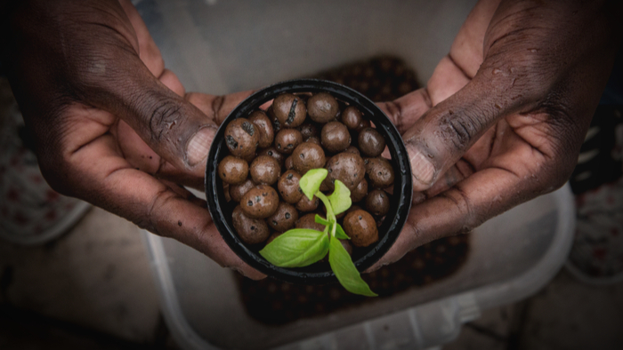 The State of Food Security in Africa During COVID-19 - Giving Compass