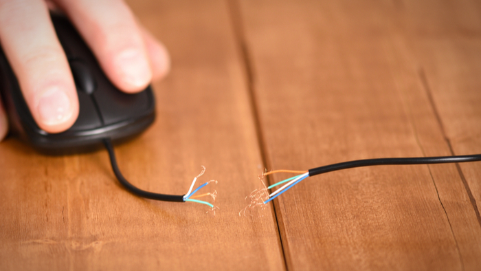 Locally Based Solutions For Students With Limited Internet Giving Compass