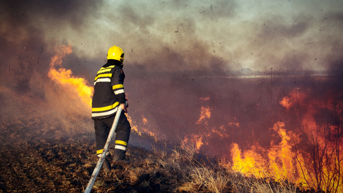 New Study Finds Humans Responsible for Devastating Wildfires Giving Compass