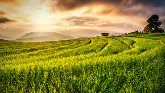 Building Resilient Global Food Systems Giving Compass