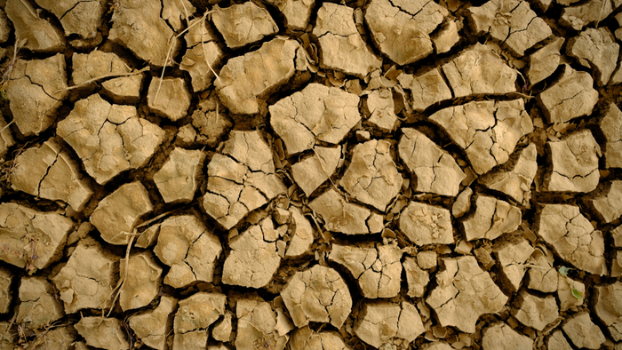 How Climate Change Drives Migration Giving Compass