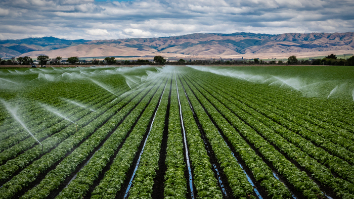 Establishing Healthy, Sustainable Food Systems Post-Pandemic Giving Compass