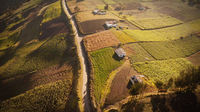 Investing in Transformative Change in Rural America During COVID-19 Giving Compass
