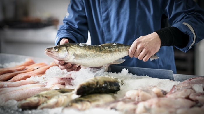 Why is Fresh Water Fish Farming More Sustainable? Giving Compass