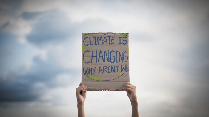 Insights on Climate Action From a Leader in Climate Philanthropy Giving Compass