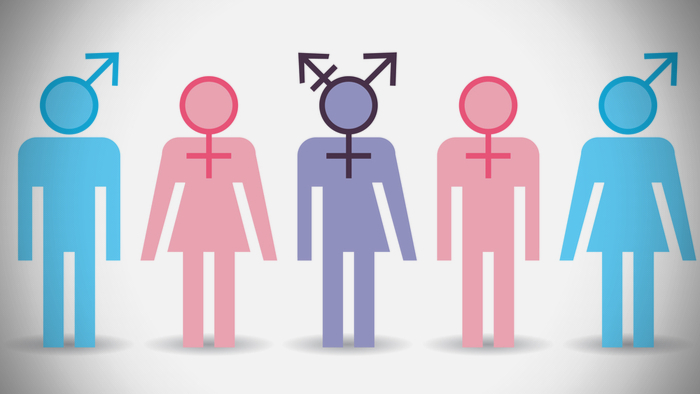 Data Shows Insights on Gender Diverse Teen Identities Giving Compass