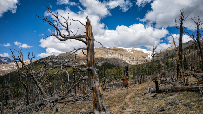 Rocky Mountain Forests Burning More Now Than Any Time in the Past 2,000 Years Giving Compass