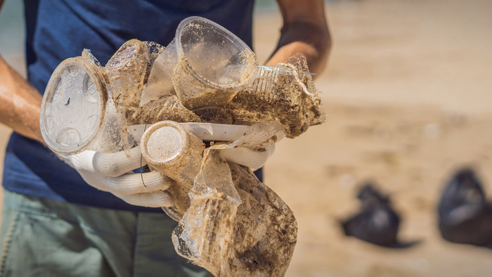 How to Make Ocean Conservation Efforts More Equitable Giving Compass