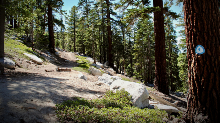 Making Nature More Accessible Through Public Transportation Giving Compass