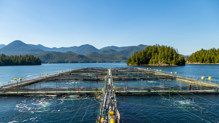 The State of Investment in Sustainable Global Fisheries