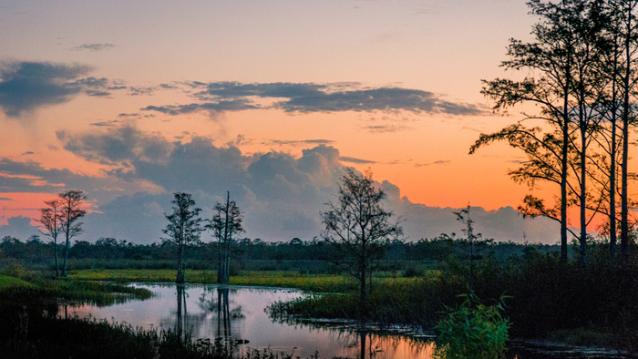 Louisianans' Way of Life on the Coast is Threatened By the Very Plans Meant to Save their Wetlands Giving Compass