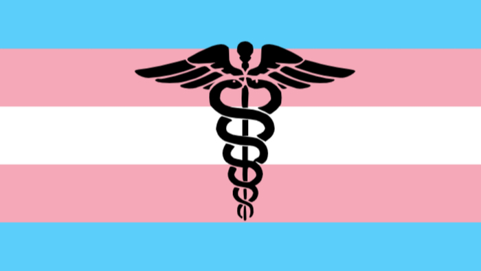 Transgender People Turn to Online Communities to Find Gender-affirming Care Giving Compass