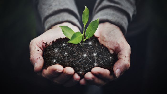 How Climate Networks Can Fuel Action Giving Compass