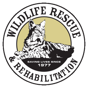 Wildlife Rescue and Rehabilitation logo